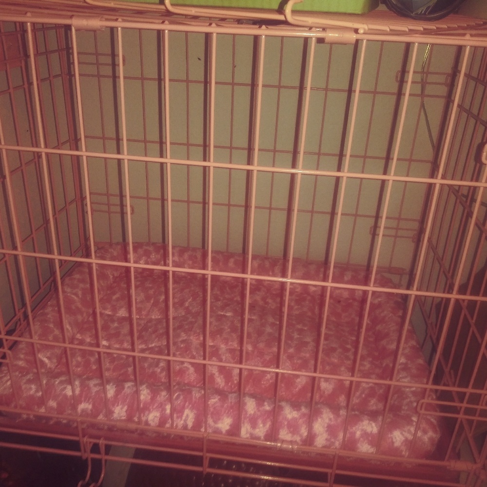 Small dog cage